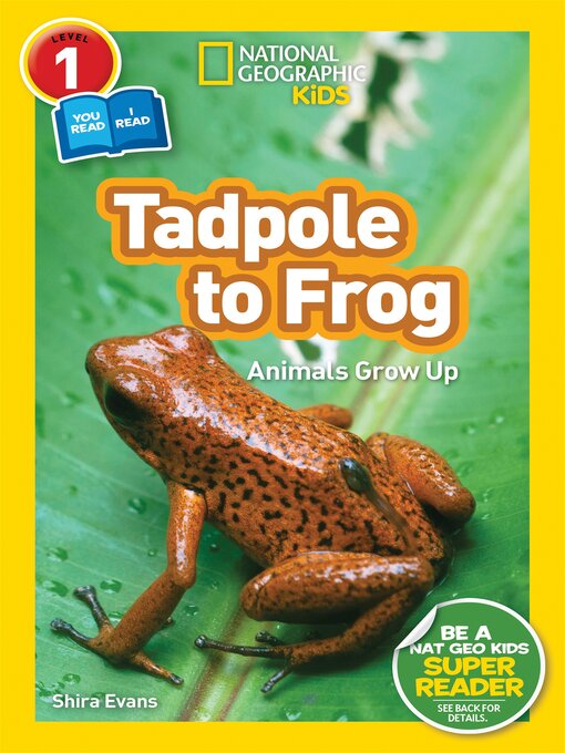 Title details for Tadpole to Frog by Shira Evans - Wait list